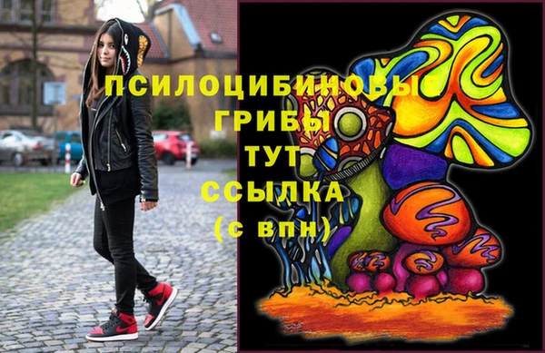 соль ск Алексин