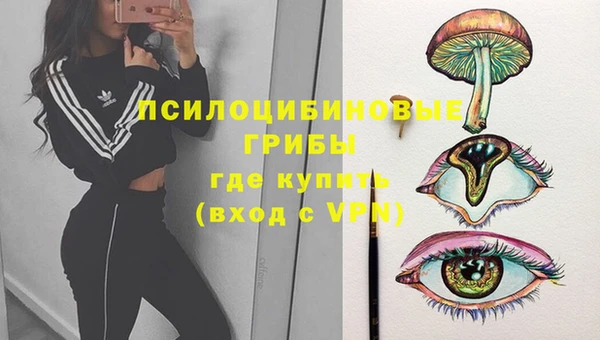 МДМА Алексеевка