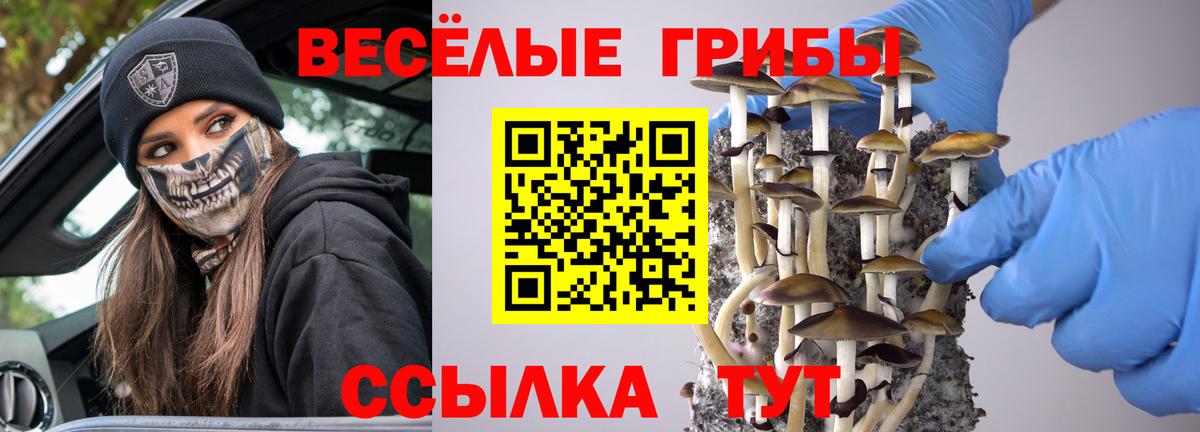 Псилоцибиновые грибы MAGIC MUSHROOMS Котельники