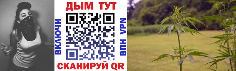Бошки Шишки гибрид как найти гидра ТОР Котельники